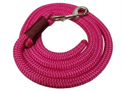 Führstrick/Karabiner in verschiedenen längen Führstrick/Karabiner in verschiedenen längen