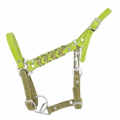 Fettlederhalfter mit Flechtung