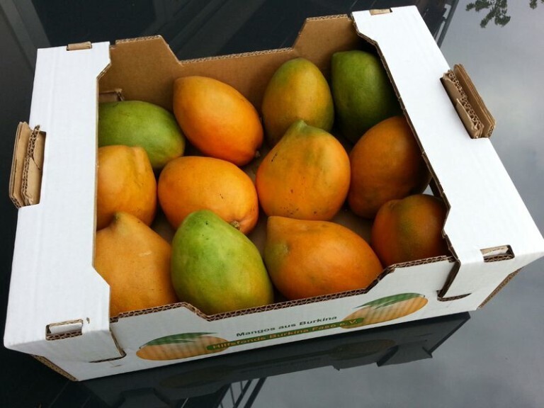 Kiste Mango (5 kg) Bestellung bis 01. APRIL möglich. Abholung voraussichtlich zwischen  23. April und 02. Mai 2026 im Weltladen Tuttlingen.