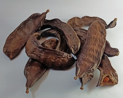 Carob , Ceratonia siliqua  450 gram  خروب
