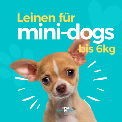 Mini Leinen