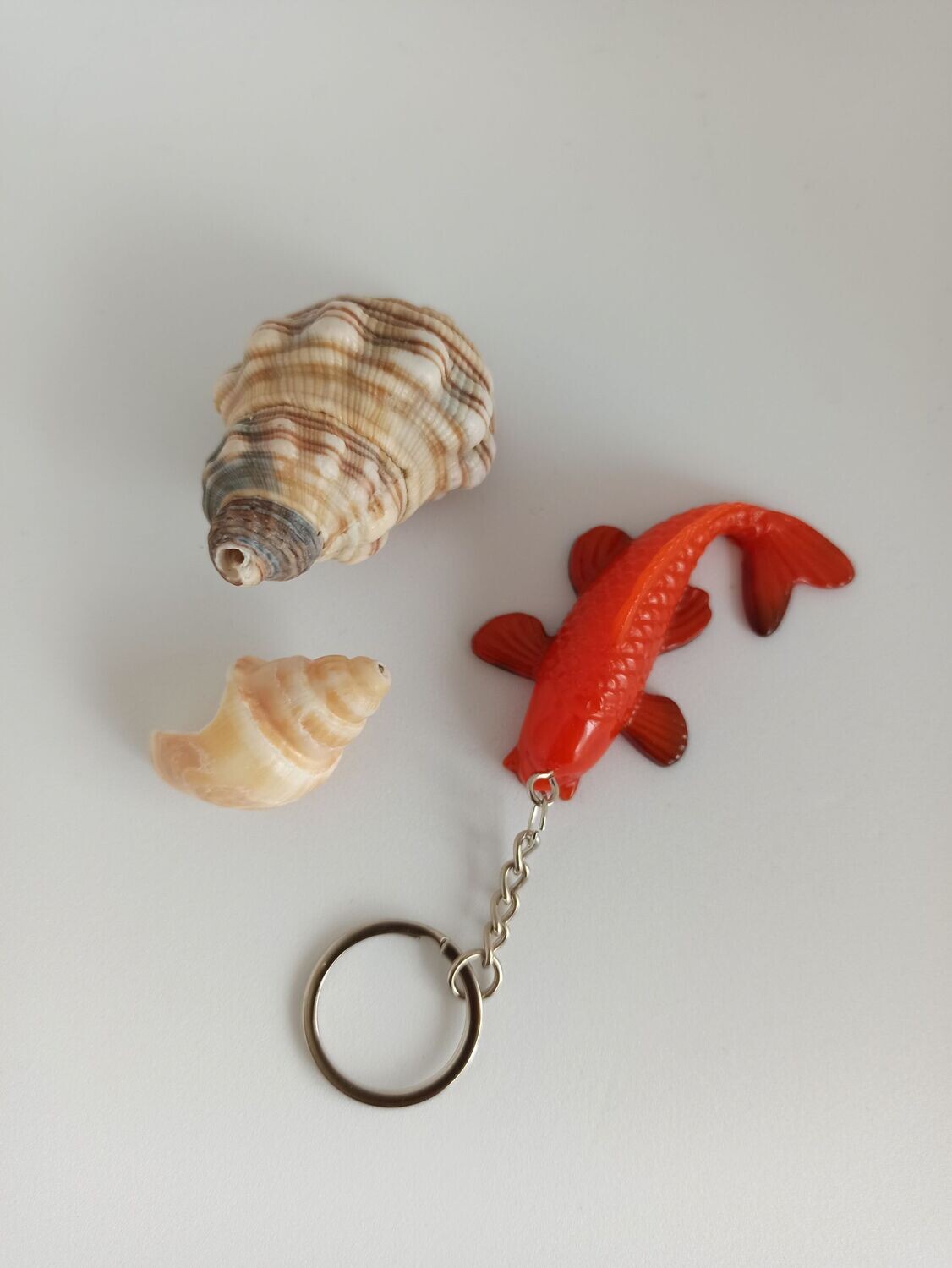 Carpe Koi - Orange Carpe Koi - Orange