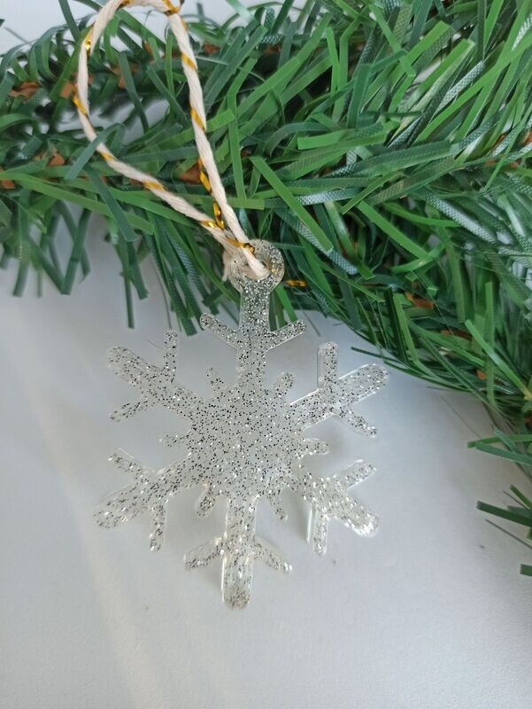 Argent paillettes