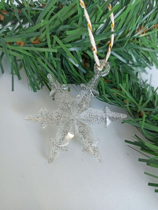 Argent paillettes
