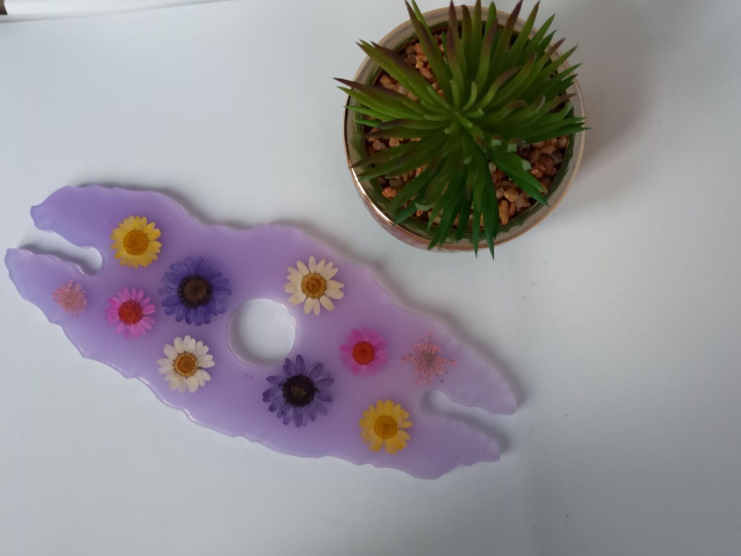 Violet fleurs séchées