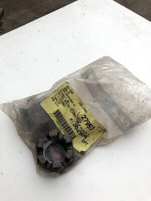 25-1320 Case IH castle nut