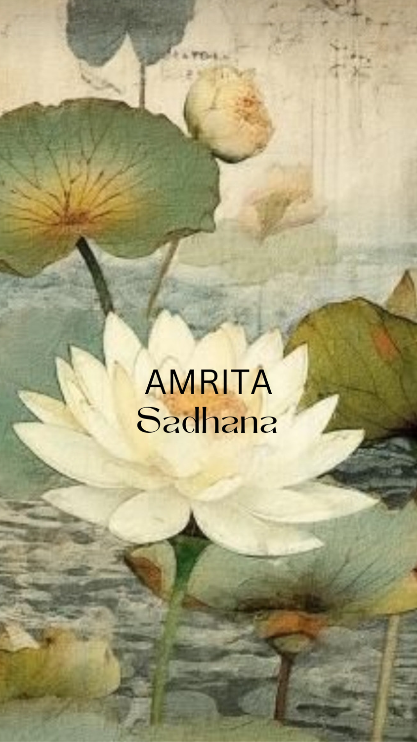 Amrita Sadhana 28.04. Online