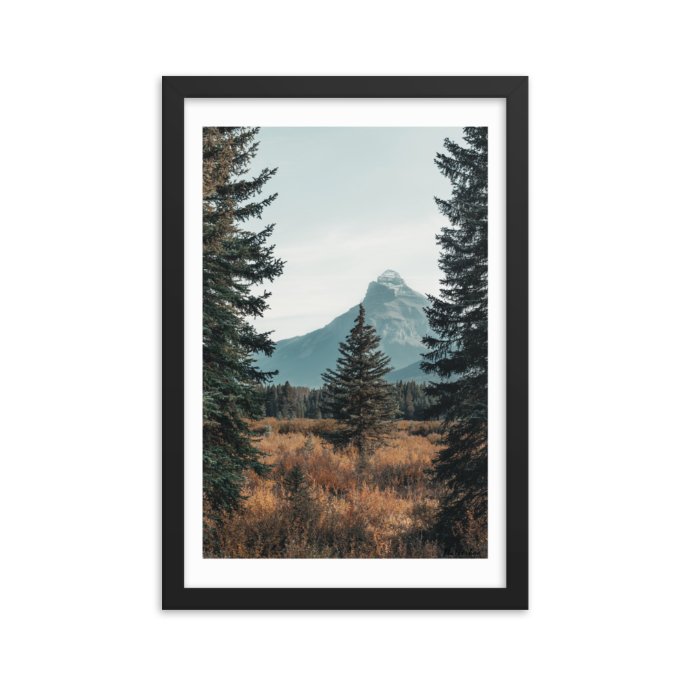 Framed poster (forest)