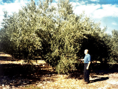 HUILES ET VINAIGRES