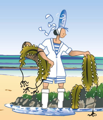 LES ALGUES DE BRETAGNE BIO