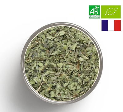 VERVEINE ODORANTE DE FRANCE BIO - Quantité au choix :
