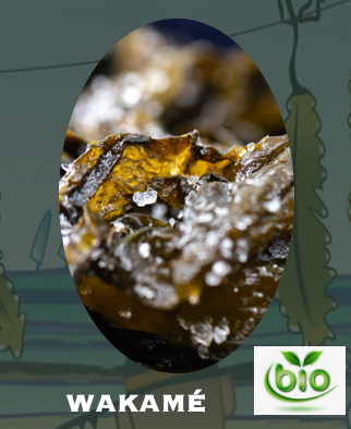 ALGUE WAKAME - 50gr