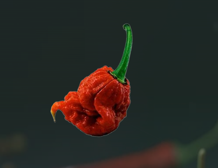 PIMENTON CAROLINA REAPER MOULU- 25gr