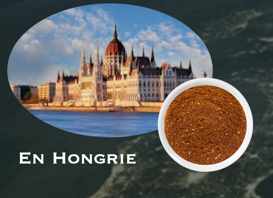 MELANGE POUR GOULASH HONGROIS - 50gr