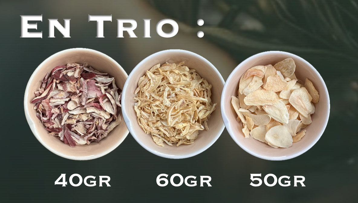 TRIO PLANTES AROMATIQUES (Echalote, Oignons et Chips d&#39;Ail)