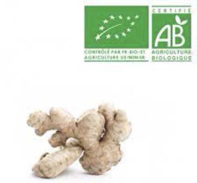 GINGEMBRE MOULU BIO - 40gr