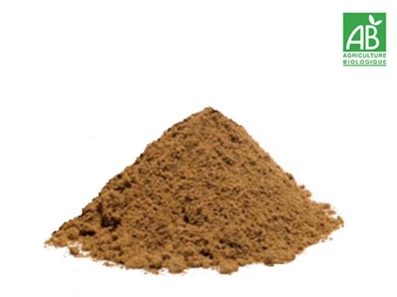 CUMIN BIO MOULU - 40gr
