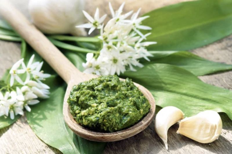 PESTO A L'AIL DES OURS- 100gr