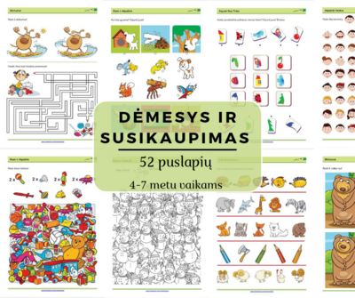 Dėmesys ir Susikaupimas