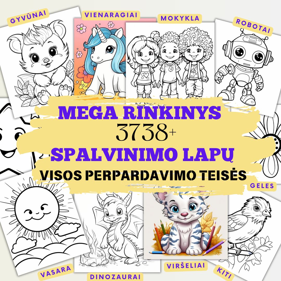 MEGA VERSLO RINKINYS 