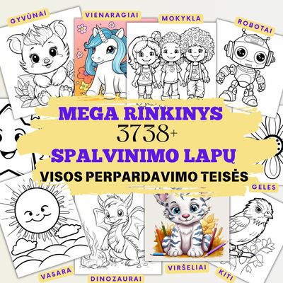 MEGA VERSLO RINKINYS 