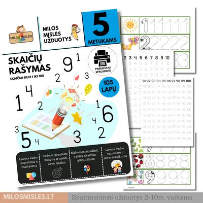 Lavinamoji priemonė 'Skaičių Rašymas' PDF