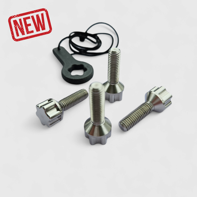 CUSTOM SCREW SET for hydrofoil plate - Stainless steel 316