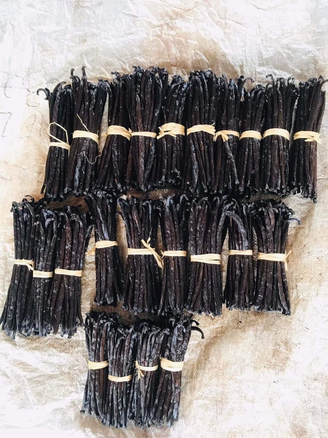 50 gousses de vanilles Bourbon sauvage