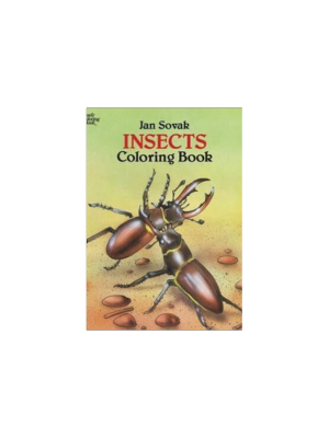 Coloring Book - Insects