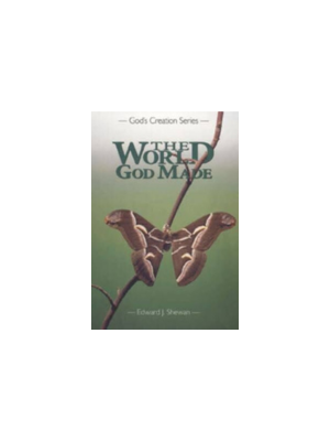 World God Made, The (Grade K)