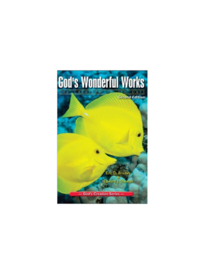 God's Wonderful Works - Grade 2