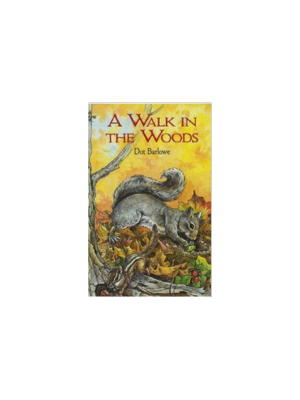 A Walk in the Woods (Coloring Book)