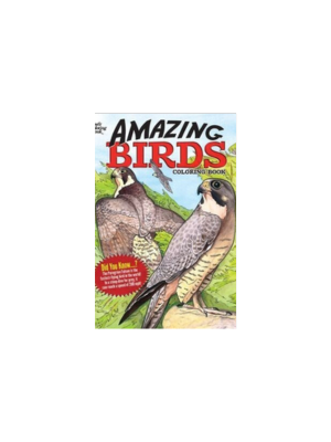 Amazing Birds (Coloring Book)
