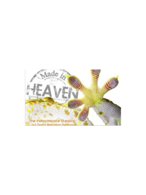 Made in Heaven