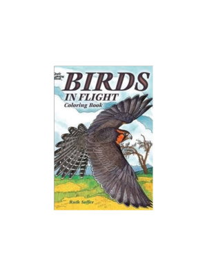 Birds in Flight (Coloring Book)
