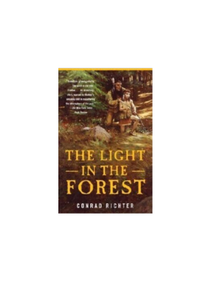 Light in the Forest