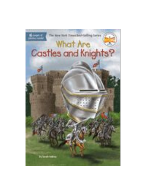 What Are Castles and Knights? What Are Castles and Knights?
