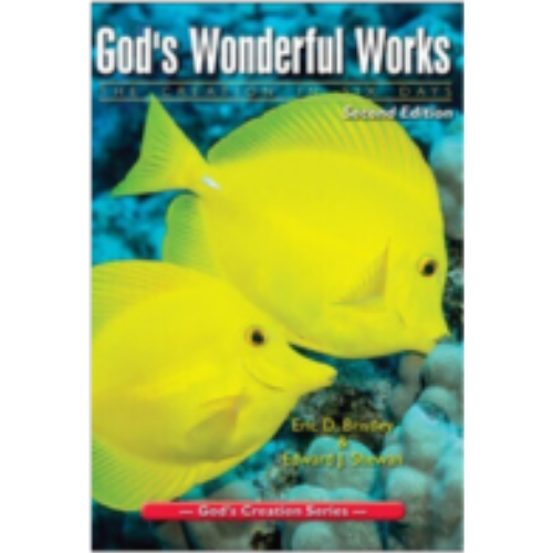 God's Wonderful Works - Grade 2