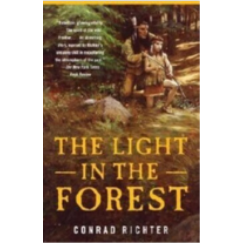 Light in the Forest Light in the Forest