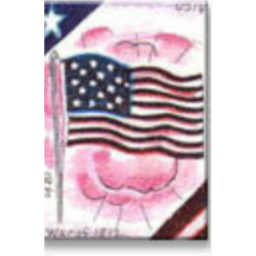 Timeline - US History