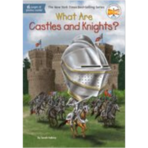 What Are Castles and Knights?