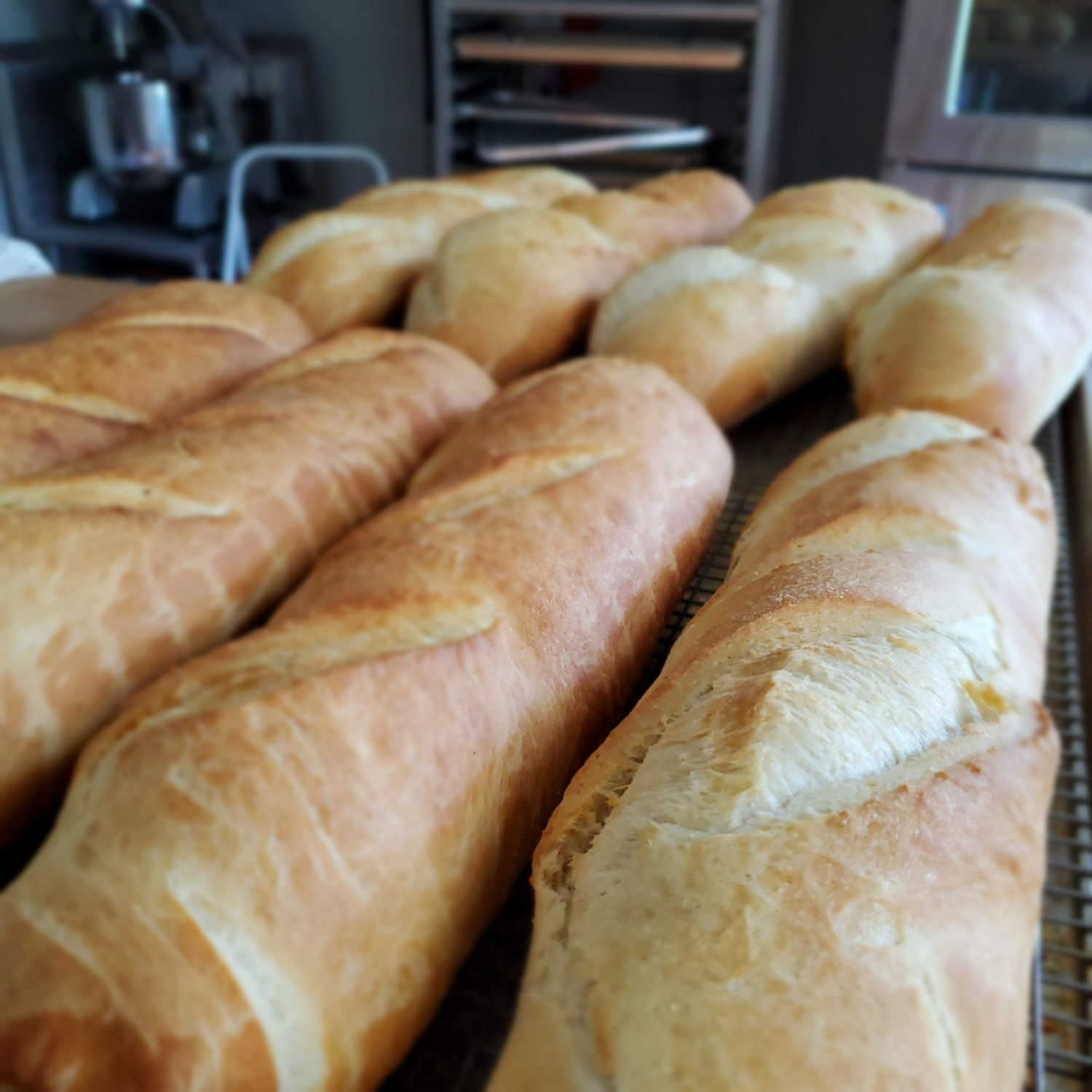 Italian Bread