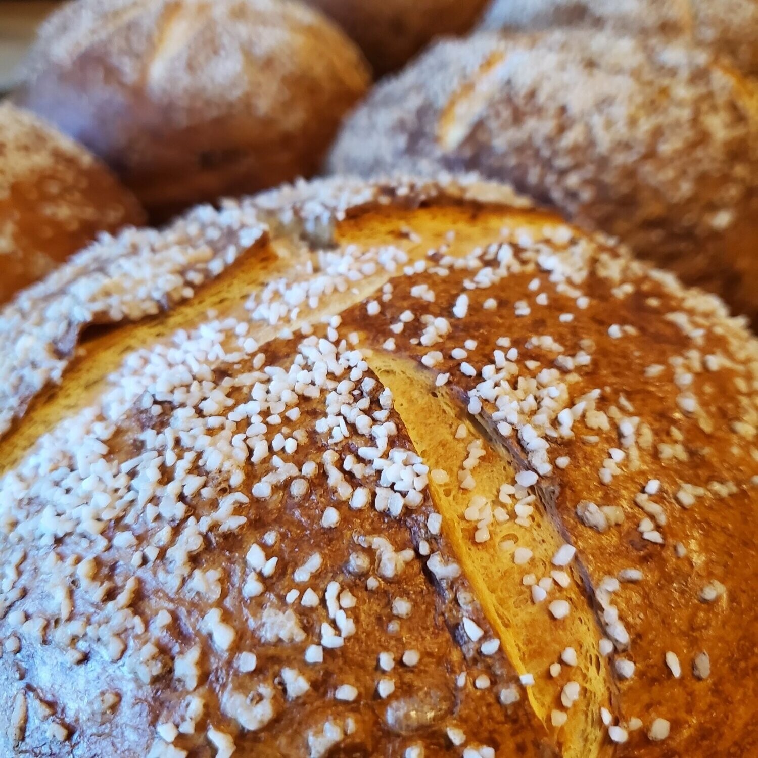 Pretzel Bread