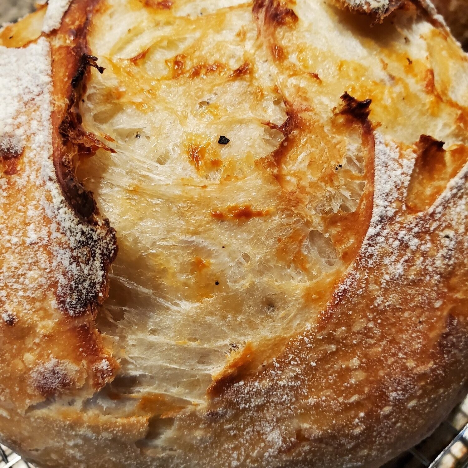 Asiago Sourdough