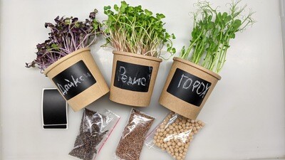 Набір для вирощування мікрозелені (6 врожаїв)