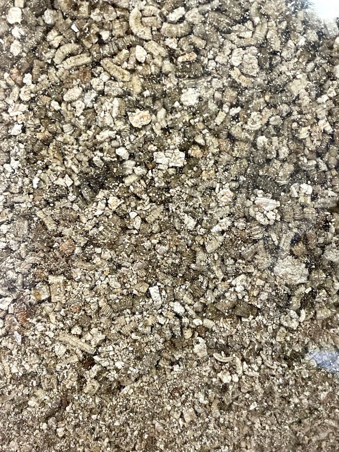 Vermiculite (Vermikulit) 2L