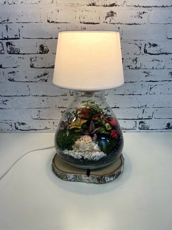 Terarij Lampa