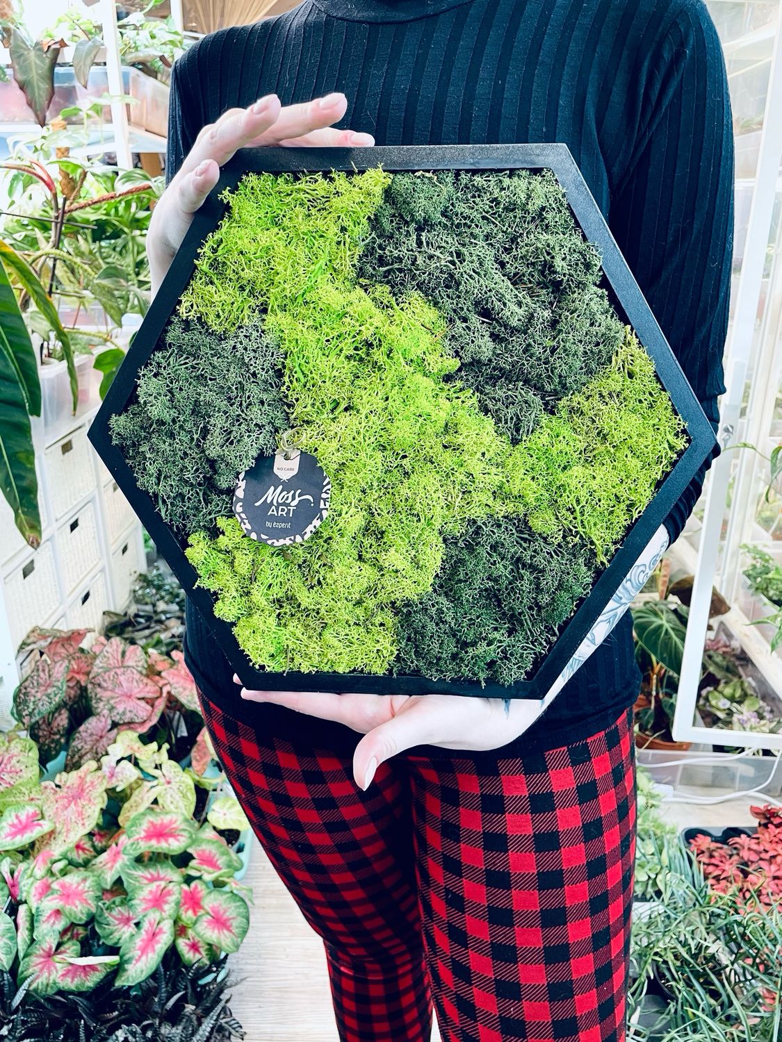 Živa slika (stabilizirana mahovina/lišaj) hexagon 38/38cm