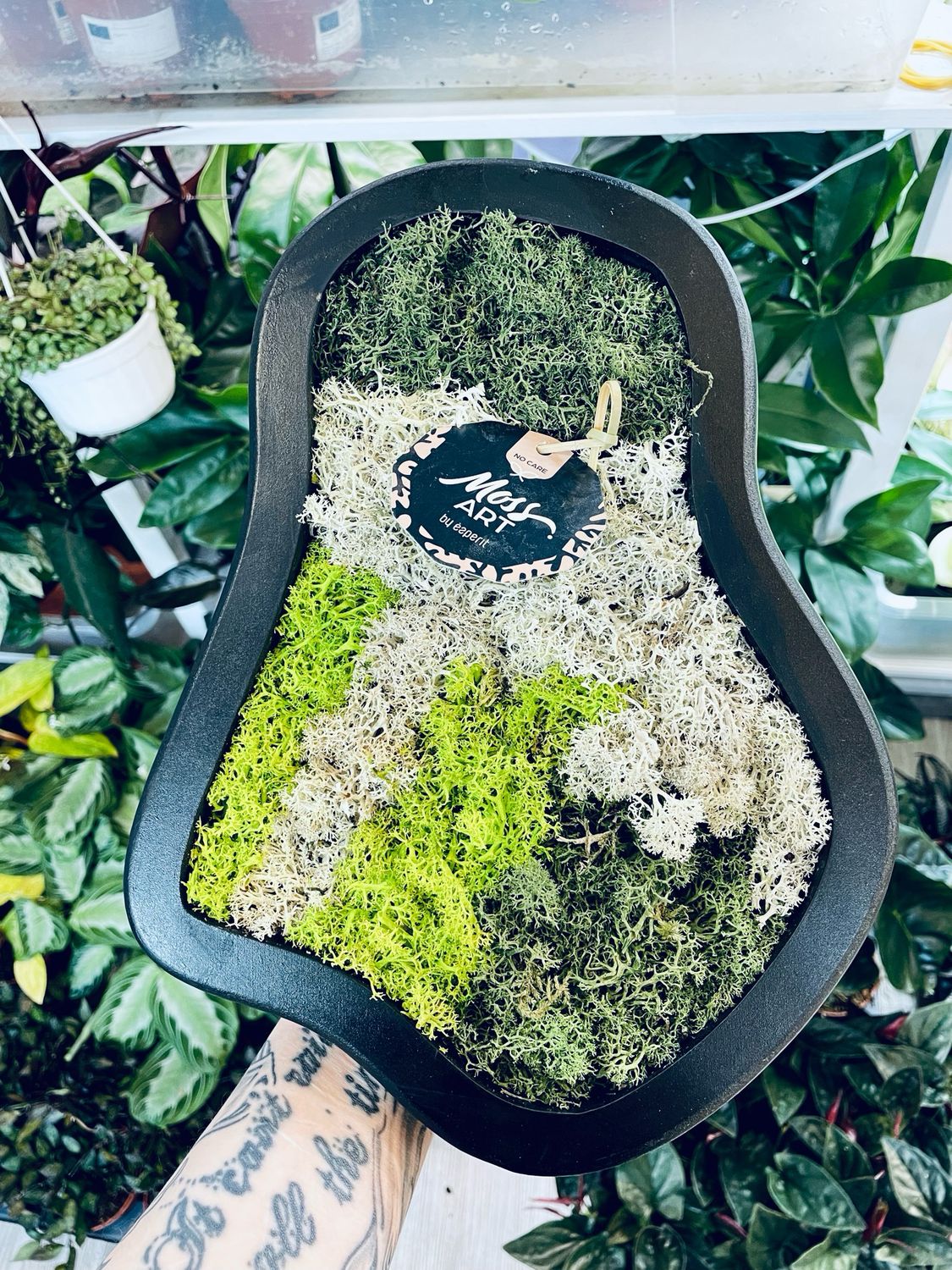 Živa slika (stabilizirana mahovina/lišaj) natural M 30/25cm