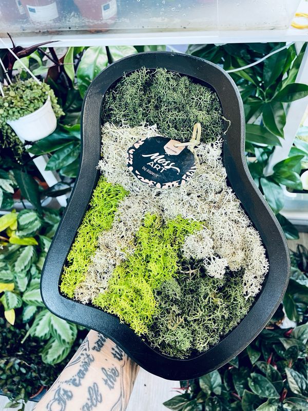 Živa slika (stabilizirana mahovina/lišaj) natural M 30/25cm